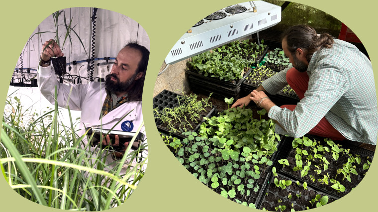 The future of Plant Melody - scientists at work